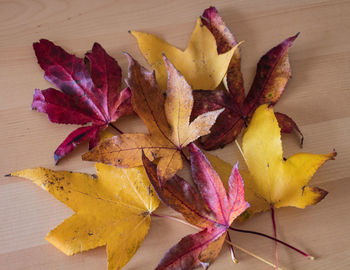 Close-up of autumn leaves on table