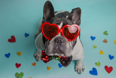 French bulldog wearing heart shaped sunglasses and bow tie surrounded by colorful hearts