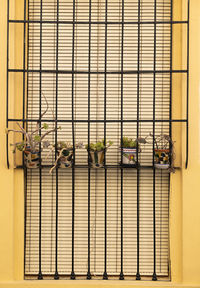 View of potted plants on window with frame on yellow wall