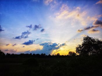 Silhouette trees on field against sky during sunset