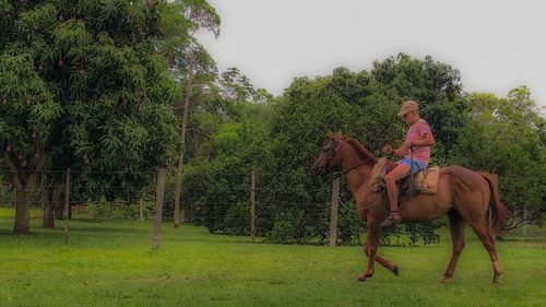 Woman riding horse in park