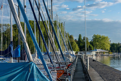 Boats moored by trees against sky