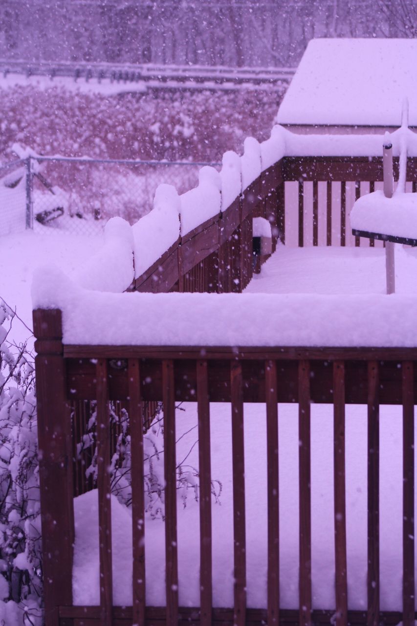 snow, winter, cold temperature, weather, frozen, nature, railing, outdoors, snowing, built structure, architecture, day, no people, beauty in nature, building exterior