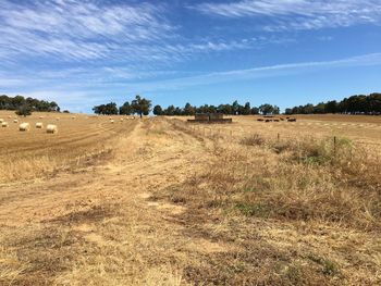 Hay bales on field against sky