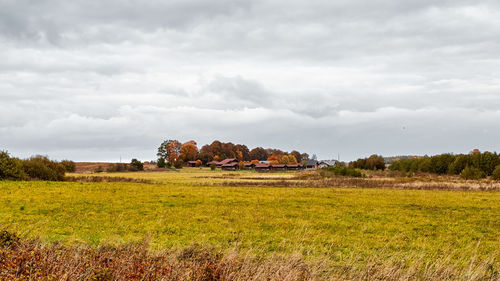 Scenic view of field against sky