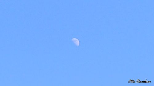 Low angle view of moon against clear blue sky