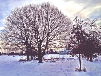 Scenic view of snow covered landscape