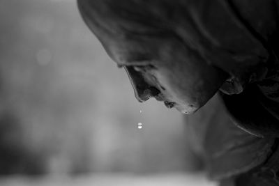 Close-up of water drop falling from statue