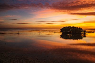 Scenic view of sea against orange sky