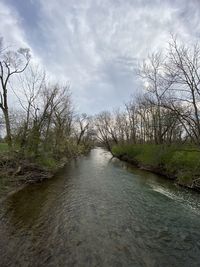 Scenic view of river amidst trees against sky