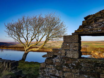 Bare tree against built structure against sky
