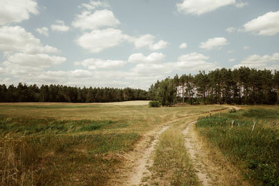 Scenic view of agricultural field against sky