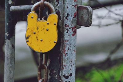 Close-up of padlocks on metal chain