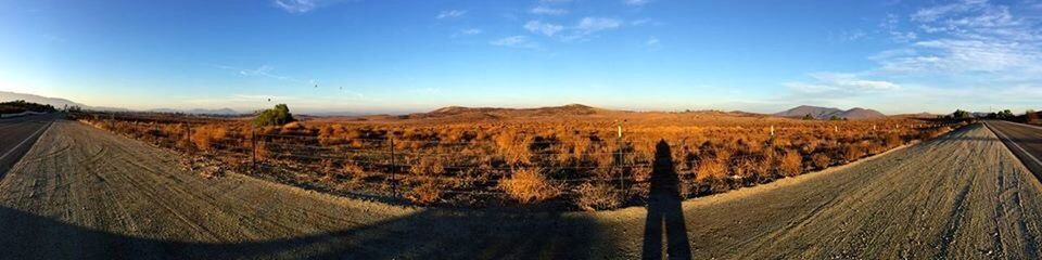 landscape