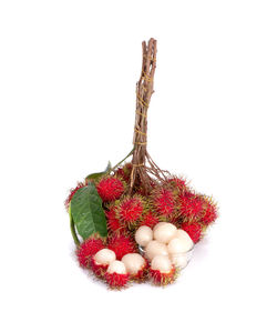 Close-up of berries against white background