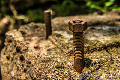 Close-up of rusty metal