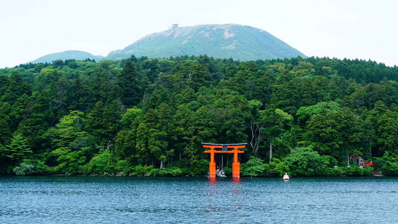 tree, mountain, nature, beauty in nature, water, tranquility, scenics, outdoors, day, green color, lake, waterfront, tranquil scene, no people, growth, sky, clear sky, architecture, nautical vessel