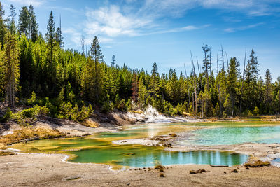 Norris geyser basin, yellowstone national park