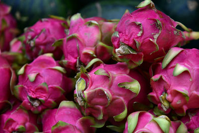 Full frame shot of dragon fruit in market