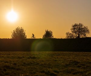 Silhouette trees on field against sky during sunset