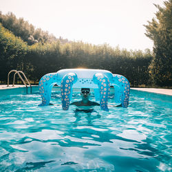 Portrait of boy swimming in pool against sky