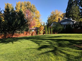 Trees in lawn with house in background