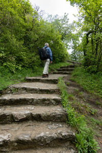 Rear view of man walking on footpath in forest