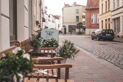 Potted plants on street amidst buildings in city