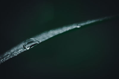 Close-up of water drop against black background