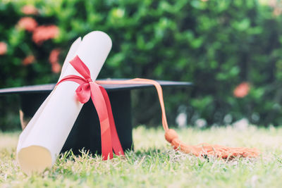 Close-up of mortarboard and diploma on grassy field