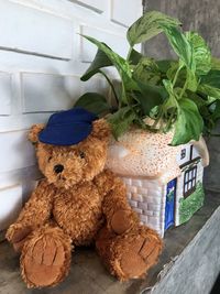 Close-up of teddy bear by potted plant against wall outdoors