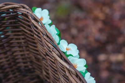 Low angle view of wicker basket on roof