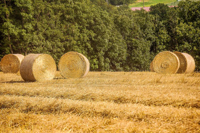 Hay bales on field