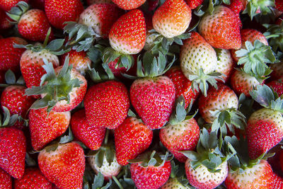 Full frame shoot bunch of fresh red strawberries background