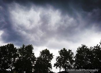 Low angle view of silhouette trees against sky