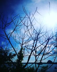 Low angle view of silhouette bare tree against sky