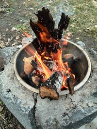 Firewood in fireplace