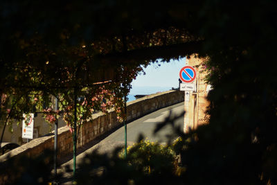 View of road sign against trees