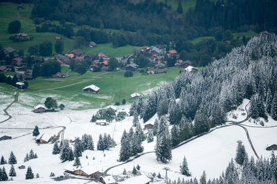High angle view of trees on landscape during winter
