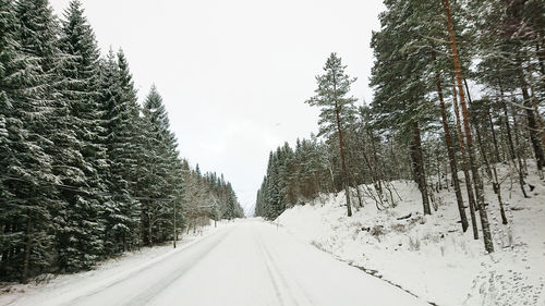 Winter raod trip in norwegian woods