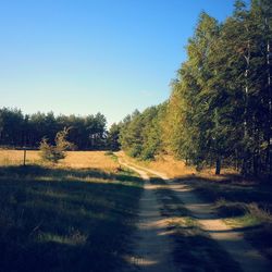 Scenic view of trees against clear sky