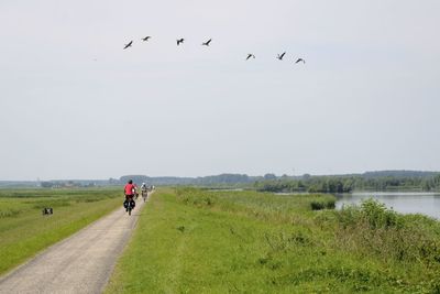 Scenic view of birds flying over landscape against sky