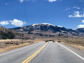 Road by snowcapped mountains against sky with deer crossing the road