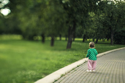 Rear view of boy walking in park