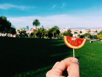 Cropped hand holding blood orange on grassy field against sky