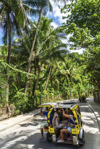 People on road by palm trees in city