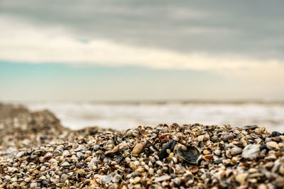 Surface level of stones on beach against sky