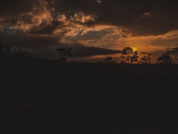 Silhouette trees on field against sky at sunset