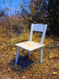 Close-up of table and chairs on field