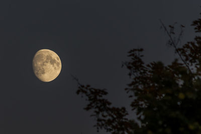 Low angle view of moon against sky at night